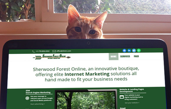 Sherwood-Forest-Online_Internet-Marketing_website-development